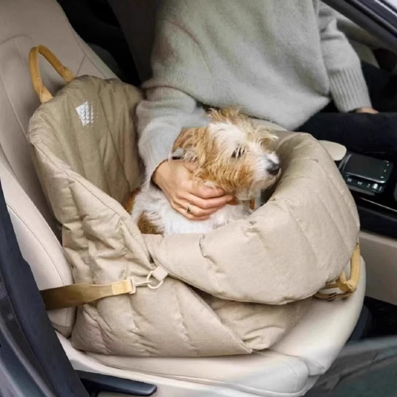 Travel Accessories For Dogs - 강아지와 고양이 이동 가방, 휴대용 강아지