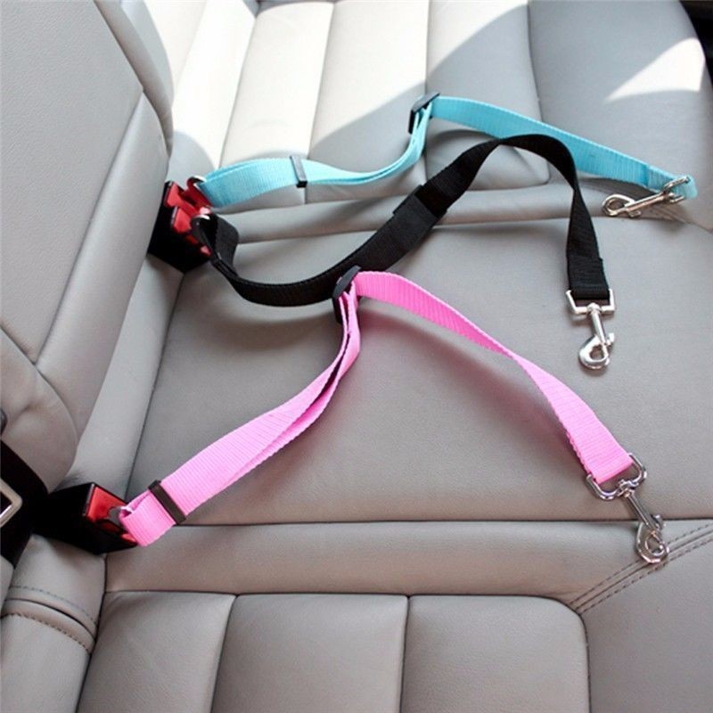 고양이 자동차 안전벨트 강아지 액세서리 조절 가능한 하 - Travel Accessories For Dogs 리뷰 및 가격