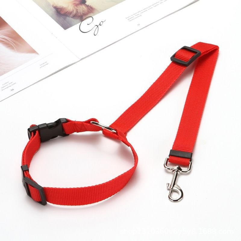 조절 가능한 애완동물 카시트 벨트 강아지 고양이 헤드레 - Travel Accessories For Dogs 리뷰 및 가격